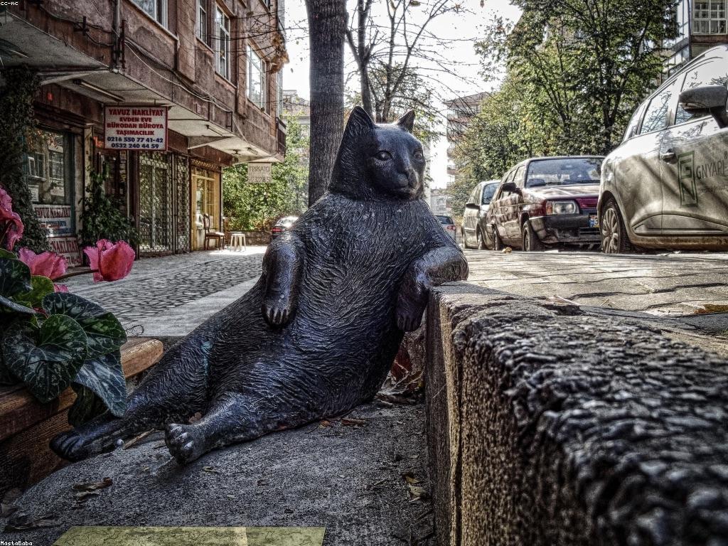 ការពិចារណានិងការប្រើប្រាស់សំណុំបែបបទស្លត