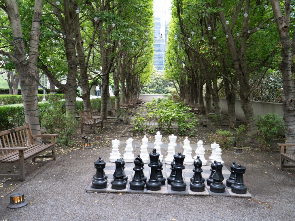 យុទ្ធសាស្ត្រឈ្នះសម្រាប់ភាពជោគជ័យ