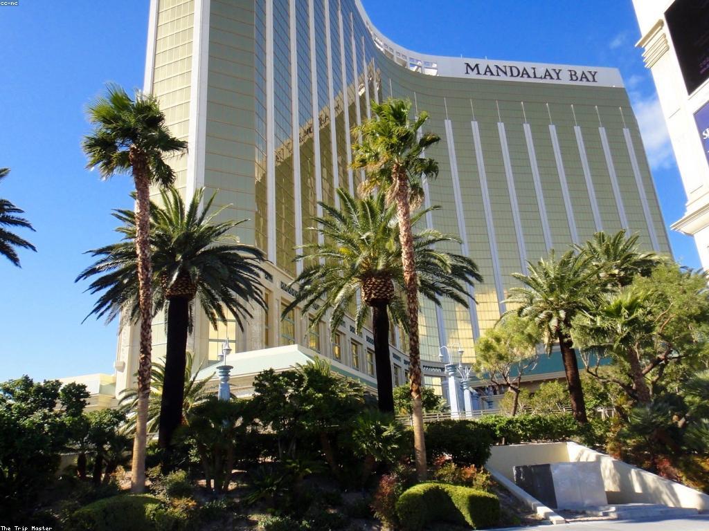 ការយល់ដឹងអំពីសំណុំបែបបទស្លត casino