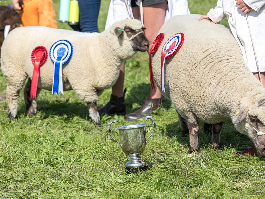 នាក់ឈ្នះរង្វាន់: ការស្គាល់និងការទទួលបាន