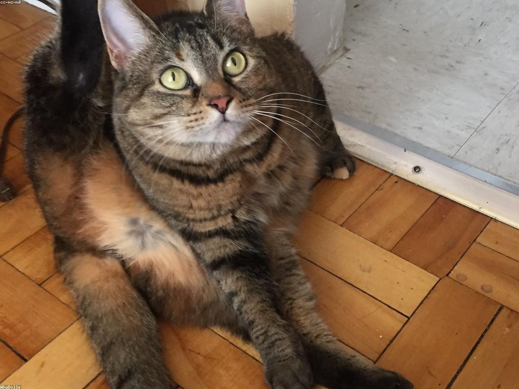 ព័ត៌មានថ្មីៗក្នុងឆ្នាំ 2023